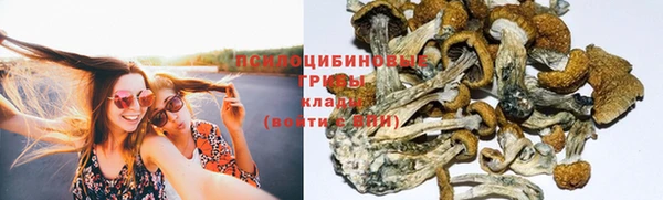 марки lsd Зерноград