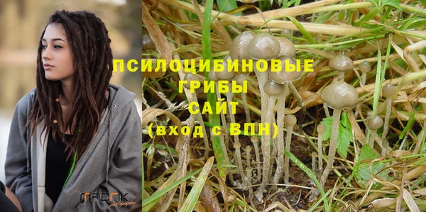 а пвп мука Инсар