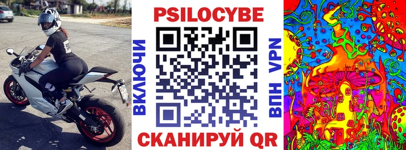 Купить закладки  Высоцк  Галлюциногенные грибы прущие грибы 